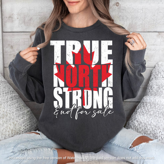 True North
