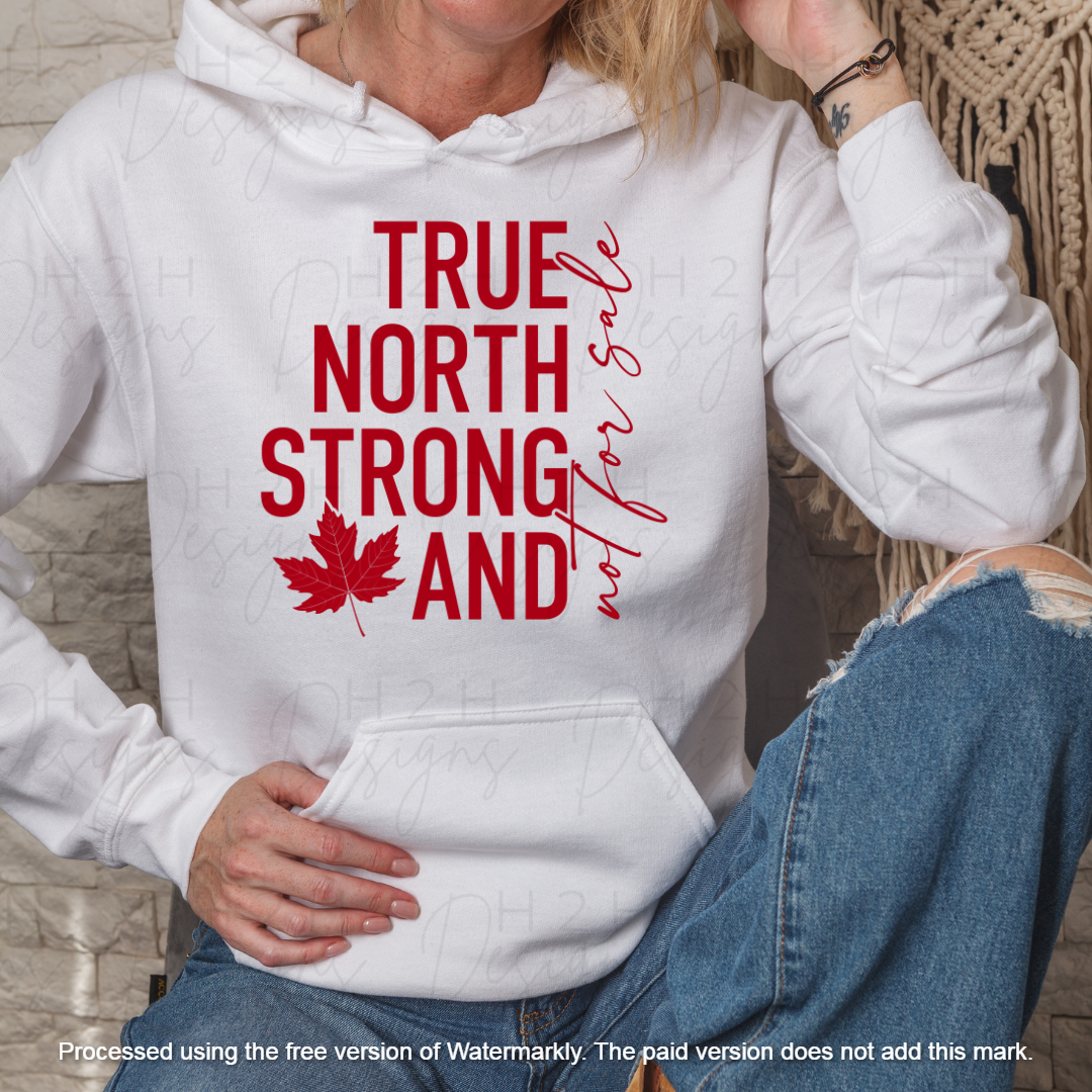 White True North Hoodie
